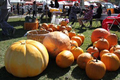 141019-2.jpg 141019-2.jpg