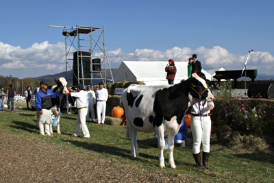 141019-7.jpg 141019-7.jpg