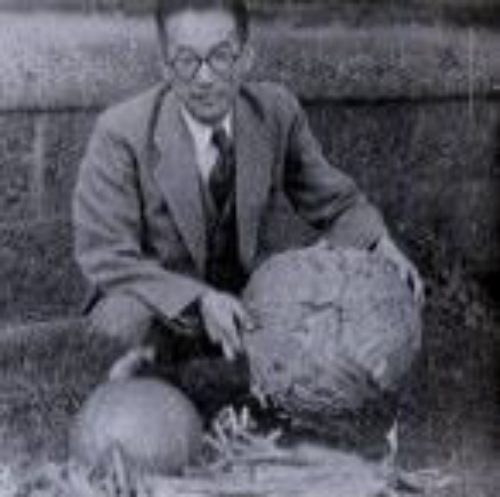 安池興男