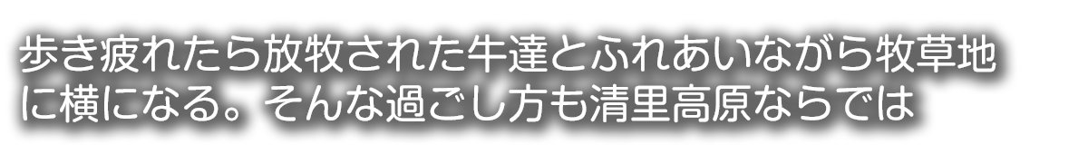 登山