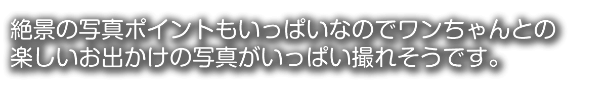 ペットと一緒
